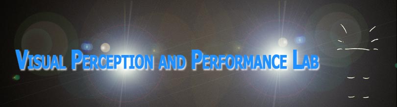 Visual Perception and Performance Lab header image
